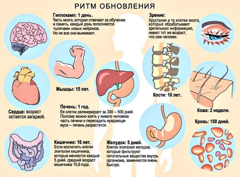 Бинауральные ритмы - Программа раскрытия творческого потенциала мозга