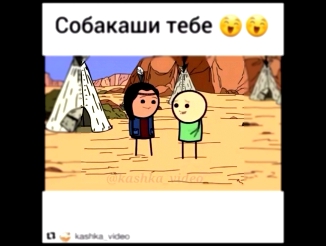 Так что ,собакаши вам всем ) 