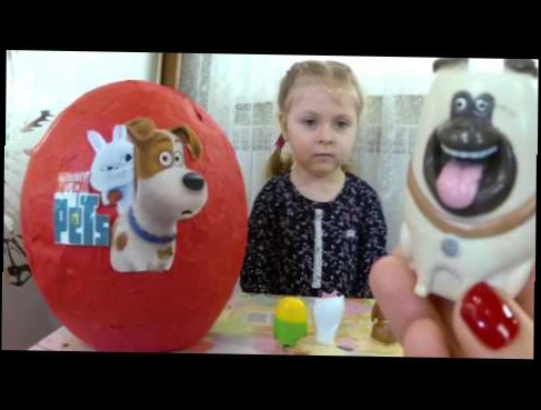 Тайная жизнь домашних животных Большое яйцо с сюрпризом  открываем игрушки Giant surprise egg The Se 
