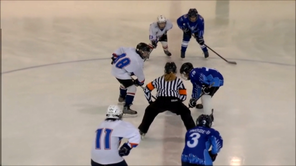 Трус не играет в хоккей - 3  ( Ястребы - Синяя птица) the clip 
