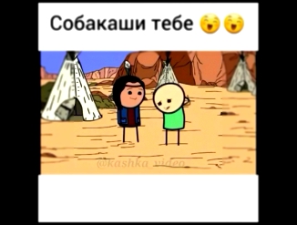 Собакаши тебе))) 