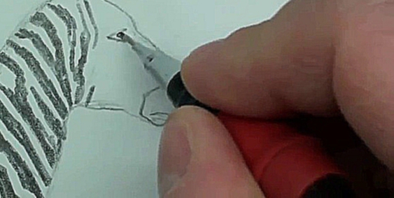 Как научиться рисовать зебру карандашом 