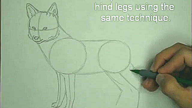 Как научиться рисовать лисицу 