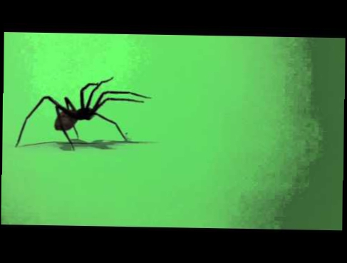 Green Screen FX, Spider 720 HD 