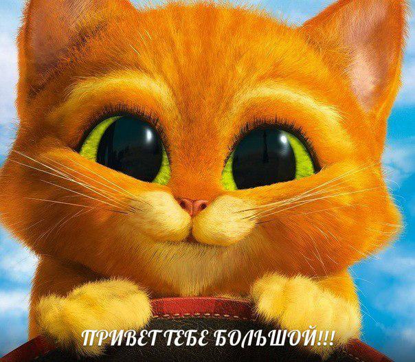 Наруто - 2 сезон самая лучшая песня
 http//vkontakte.ru/app1841357