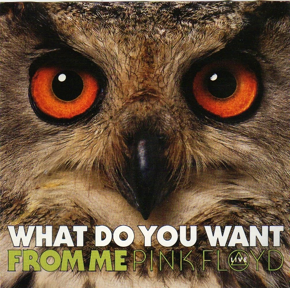 Pink Floyd - What Do You Want From Me