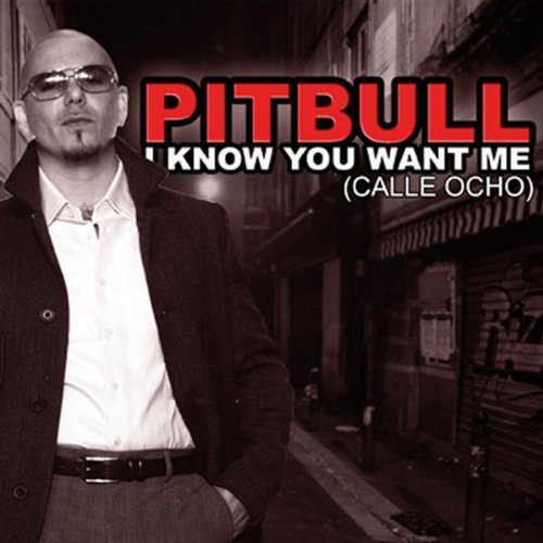 Pitbul - I Know You Want Me